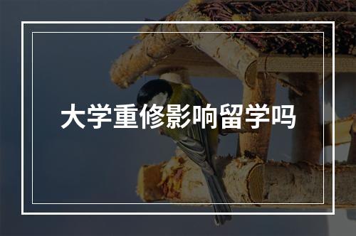 大学重修影响留学吗