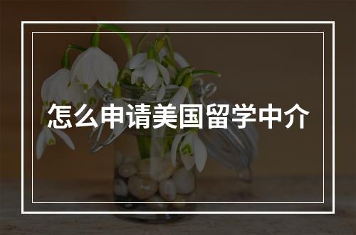 怎么申请美国留学中介