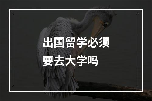 出国留学必须要去大学吗