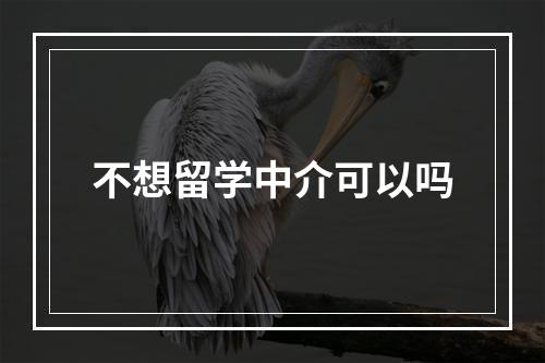 不想留学中介可以吗