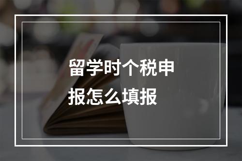 留学时个税申报怎么填报