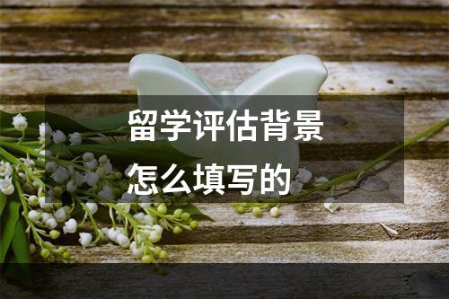 留学评估背景怎么填写的