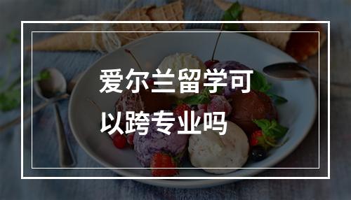 爱尔兰留学可以跨专业吗