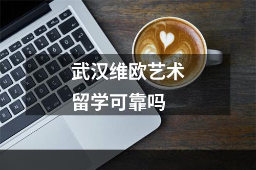 武汉维欧艺术留学可靠吗