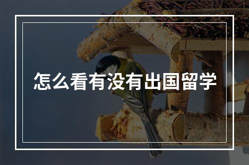 怎么看有没有出国留学