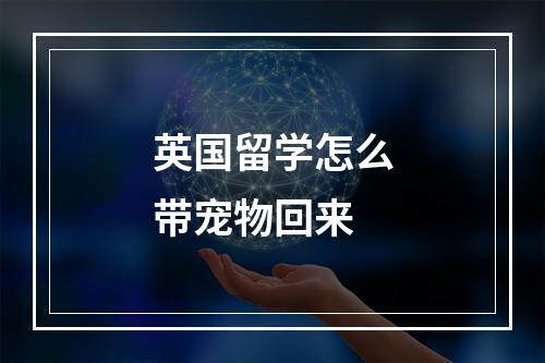 英国留学怎么带宠物回来