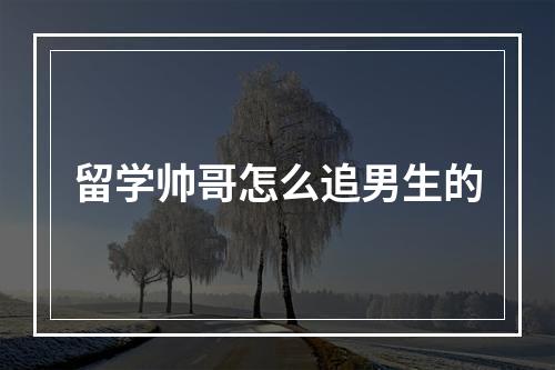 留学帅哥怎么追男生的