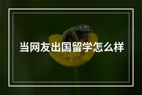 当网友出国留学怎么样