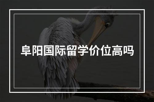 阜阳国际留学价位高吗