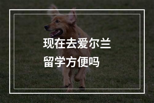 现在去爱尔兰留学方便吗