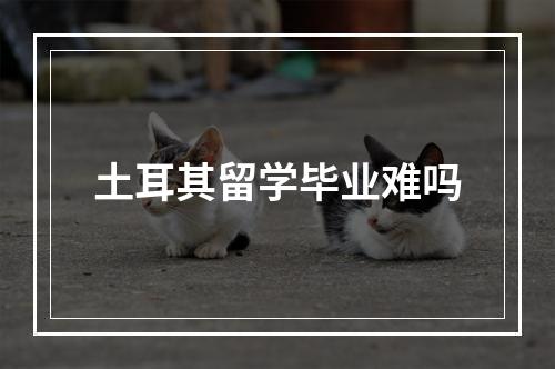 土耳其留学毕业难吗