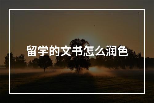 留学的文书怎么润色