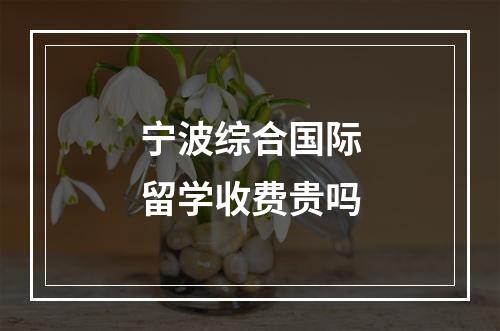 宁波综合国际留学收费贵吗