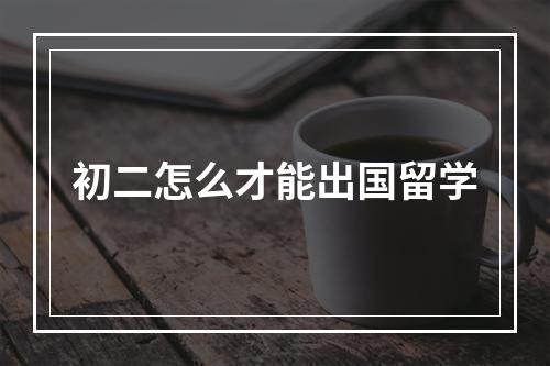 初二怎么才能出国留学