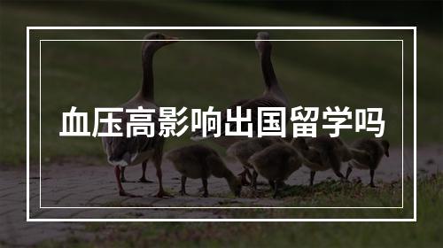 血压高影响出国留学吗