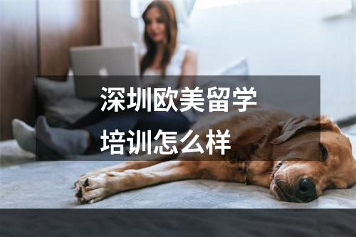 深圳欧美留学培训怎么样