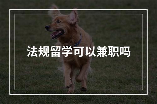 法规留学可以兼职吗