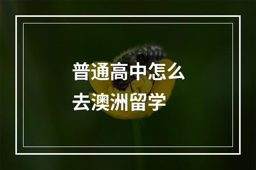 普通高中怎么去澳洲留学