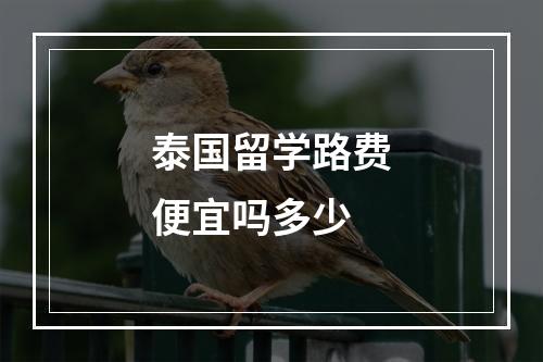 泰国留学路费便宜吗多少