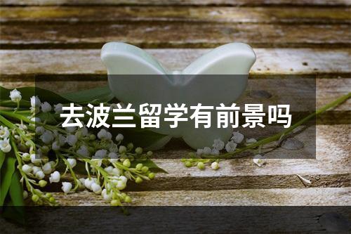 去波兰留学有前景吗