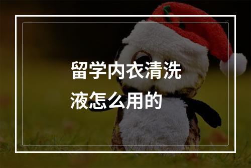 留学内衣清洗液怎么用的