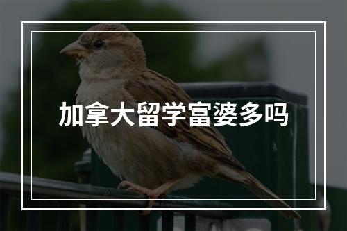 加拿大留学富婆多吗