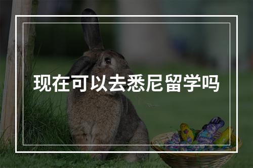 现在可以去悉尼留学吗