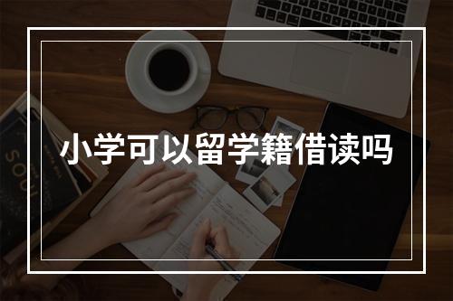 小学可以留学籍借读吗