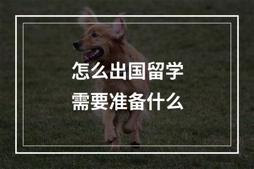 怎么出国留学需要准备什么