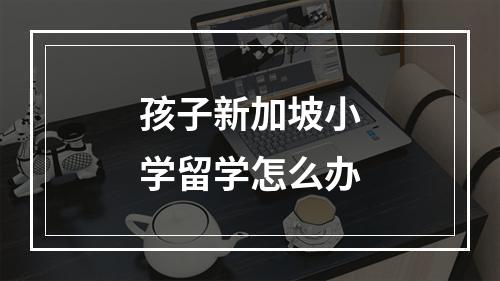 孩子新加坡小学留学怎么办