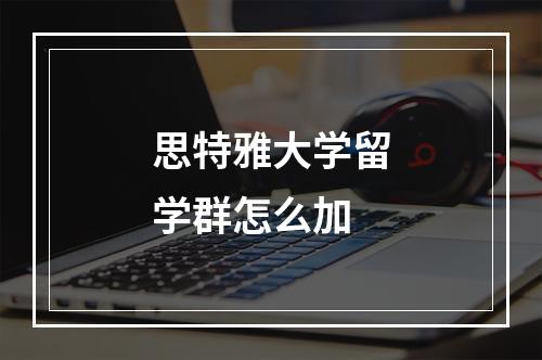 思特雅大学留学群怎么加