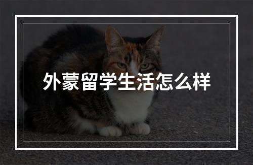 外蒙留学生活怎么样