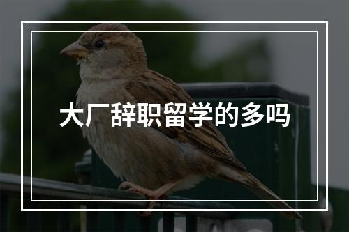 大厂辞职留学的多吗