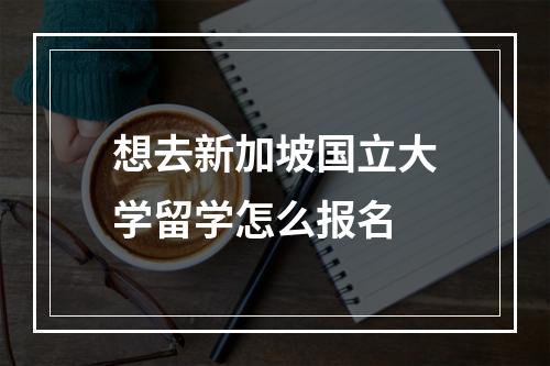 想去新加坡国立大学留学怎么报名