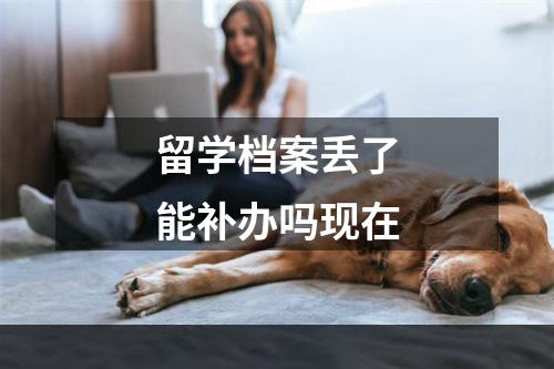 留学档案丢了能补办吗现在