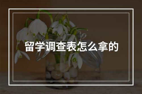 留学调查表怎么拿的