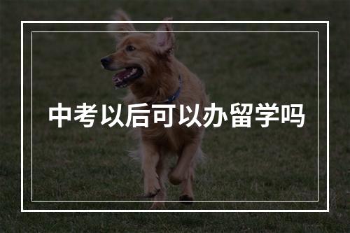 中考以后可以办留学吗