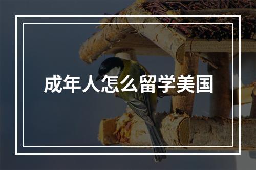 成年人怎么留学美国