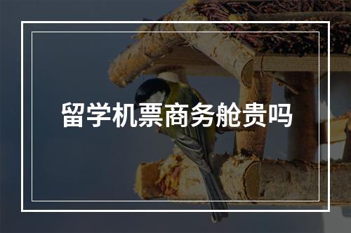 留学机票商务舱贵吗