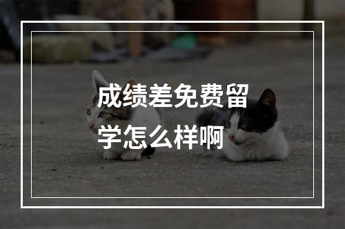 成绩差免费留学怎么样啊