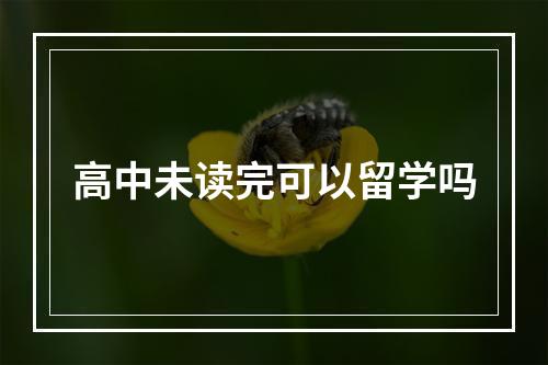 高中未读完可以留学吗