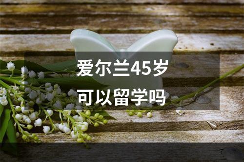 爱尔兰45岁可以留学吗