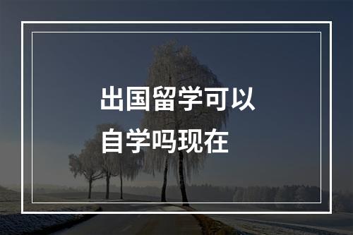 出国留学可以自学吗现在