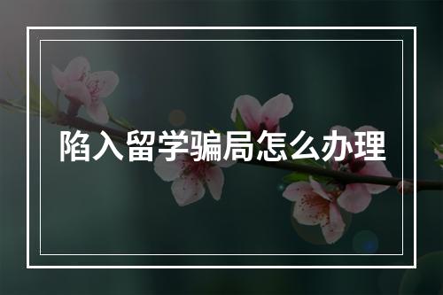 陷入留学骗局怎么办理