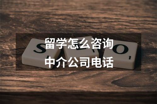 留学怎么咨询中介公司电话