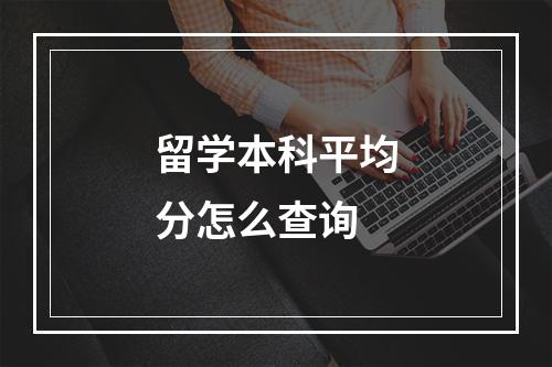 留学本科平均分怎么查询