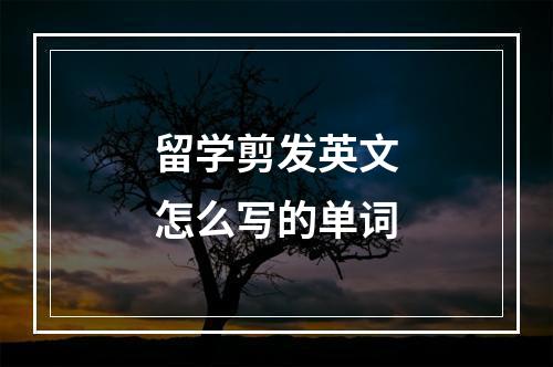 留学剪发英文怎么写的单词