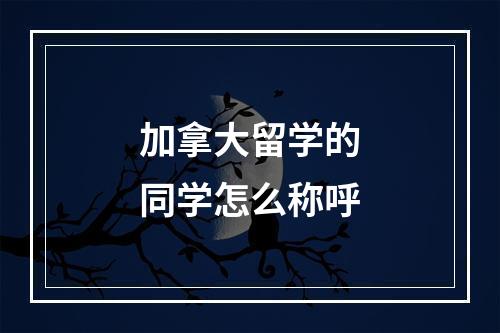 加拿大留学的同学怎么称呼