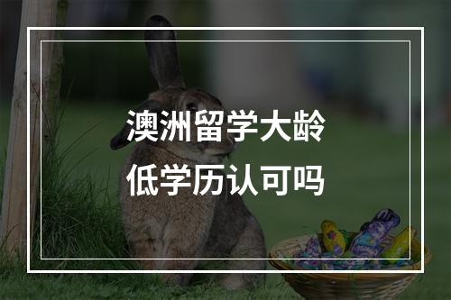 澳洲留学大龄低学历认可吗