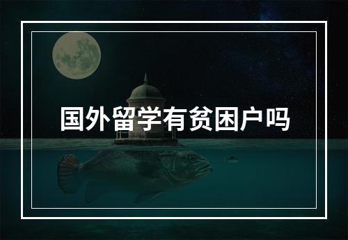 国外留学有贫困户吗